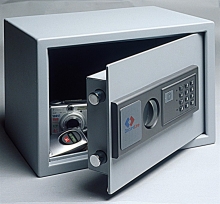 Secure Safe - Insurance Rating < $5000